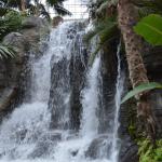 OTRA2014_0839 (August 29, 2014)